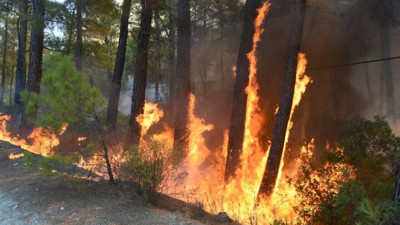 Yangınların küle çevirdiği Marmaris’te yanan yerlere maden ruhsatı verilmiş
