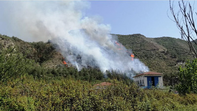 Aynı köyde 2 gün sonra yeniden orman yangını