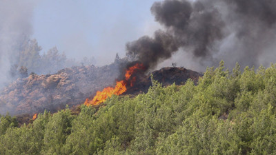 Aydın Valisi'nden sabotaj açıklaması