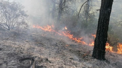 TEMA Cengiz Holding'in 500 Bin TL'lik bağışını reddetti