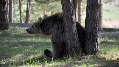 Kahvaltısını yaptı, tesbihini çekti, doğanın keyfini çıkardı