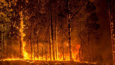 ABD'li yangın tarihi uzmanı: Dünya ateş çağına giriyor