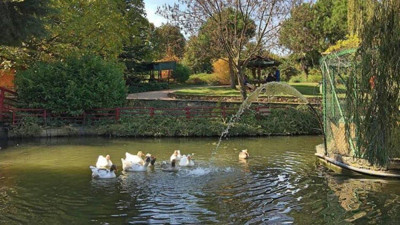 Atatürk’ün mirası kaderine terk edildi