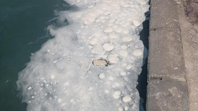 Datça'da müsilaj alarmı