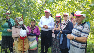İYİ Partili Örs: Fındık harmanda, fiyat için ne bekleniyor?
