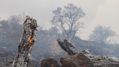 Akdeniz’i kasıp kavuracak. Sıcak hava dalgaları kuraklık ve yangınlar