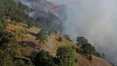 Köyceğiz’de yangın 12 gündür sürüyor