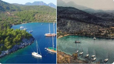 Çökertme Koyu'na bakalım ne yapacaklar