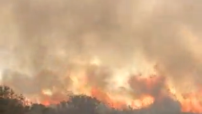 Bodrum'da yeniden yangın çıktı. Rüzgar çok güçlü esiyor