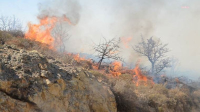 Bodrum'da çıkan yangın Dereköy, Gümüşlük ve Peksimet'e doğru ilerliyor