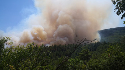 Bucak'ta orman yangını. Evler boşaltıldı