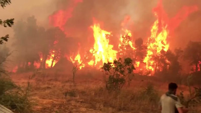 Cezayir'deki yangınlarda 69 kişi yaşamını yitirdi