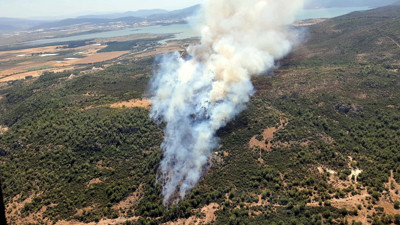 Menderes'te orman yangını