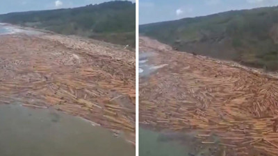 Felaketin göz göre göre geldiğinin kanıtı