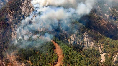 Köyceğiz'deki orman yangını kontrol altına alındı