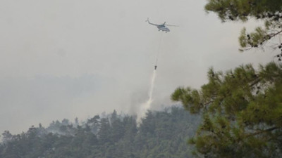 Köyceğiz'deki orman yangını kontrol altına alındı