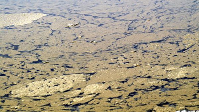 Burdur Gölü'nde suyun rengi sarıya döndü