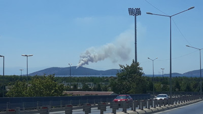 Heybeliada'daki orman yangınıyla ilgili İstanbul Valiliği'nden açıklama