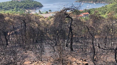 Heybeliada'da soğutma çalışmaları devam ediyor