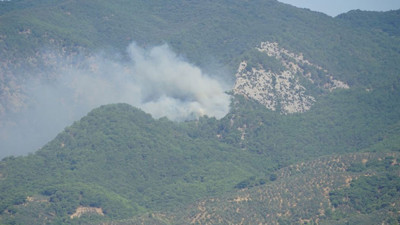 Kazdağları'nda orman yangını çıktı