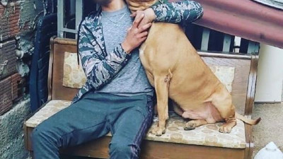 Pendik'te yüzen genci pitbull mu öldürdü