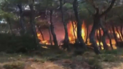 Heybeliada'da ormanlık alanda yangın (24 Ağustos 2021)