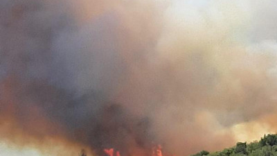 Ezine Ormanları 1 ayda 10'uncu kez yandı