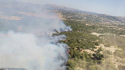 Çanakkale'deki orman yangını kontrol altında