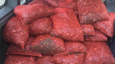 İstanbul'da 1 ton midye ele geçirildi