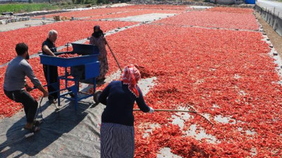 Her yer kırmızıya büründü, güvercinlerin saldırısına uğradı