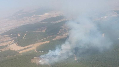 Foça'da orman yangını