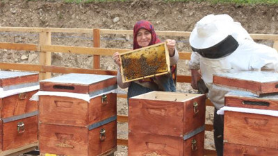 Anzer balının fiyatı uçtu