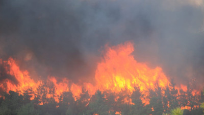 Çanakkale'de orman yangını