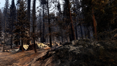 ABD'de iki haftadır süren yangın nedeniyle acil durum ilan edildi