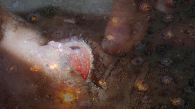 Dalga dalga yayılıyor şimdiden 50 kişi öldü