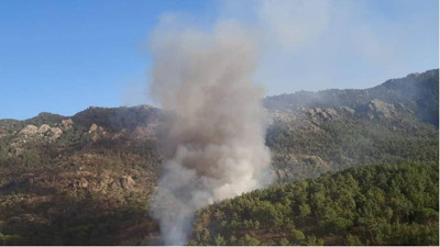 Milas'ta çıkan orman yangını kontrol altına alındı