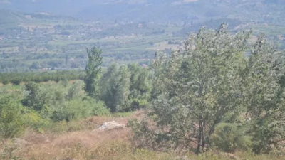 Son dakika... Sakarya'da uçak düştü iddiası! Ekipler alarma geçti