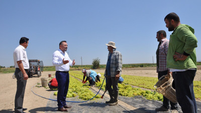 Eryılmaz: Manisalı Bakan üzümün üzerine toprak attı
