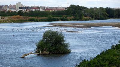 Türkiye’nin iki büyük nehri dibi gördü. Şaşkına çeviren görüntü