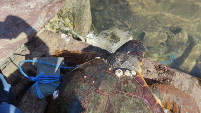 Ayağına taş bağlayıp denize attılar