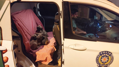 Yavru köpekleri torbaya koyup nehir kenarına attılar