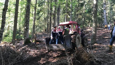 Kestiği ağacın altında kaldı hayatını kaybetti