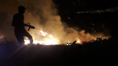 Hatay’ın Erzin ilçesinde ormanlık alanda çıkan yangın kontrol altına alındı. (13 Eylül 2021)