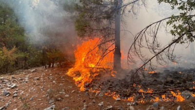 Muğla'da bir günde 20 yangın