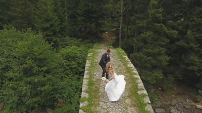 Gelinle damat fotoğraf çektirirken köpek saldırdı