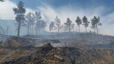Anamur'da çıkan orman yangını kontrol altına alındı