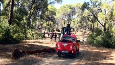 Antalya'da ''Emir geldi'' diyerek ormanı ateşe verdi