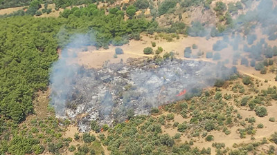 İzmir'de orman yangını (19 Eylül 2021)