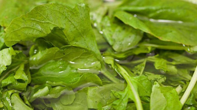 Akciğerleri temizleyen bitki ortaya çıktı