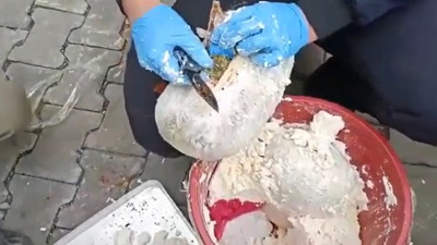 Yolcu otobüsünde peynir bidonlarından kilolarca uyuşturucu çıktı